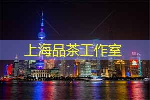 爱上海419：上海最美季节：感受四季更替中的城市魅力