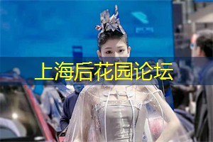 上海新茶网：鬼